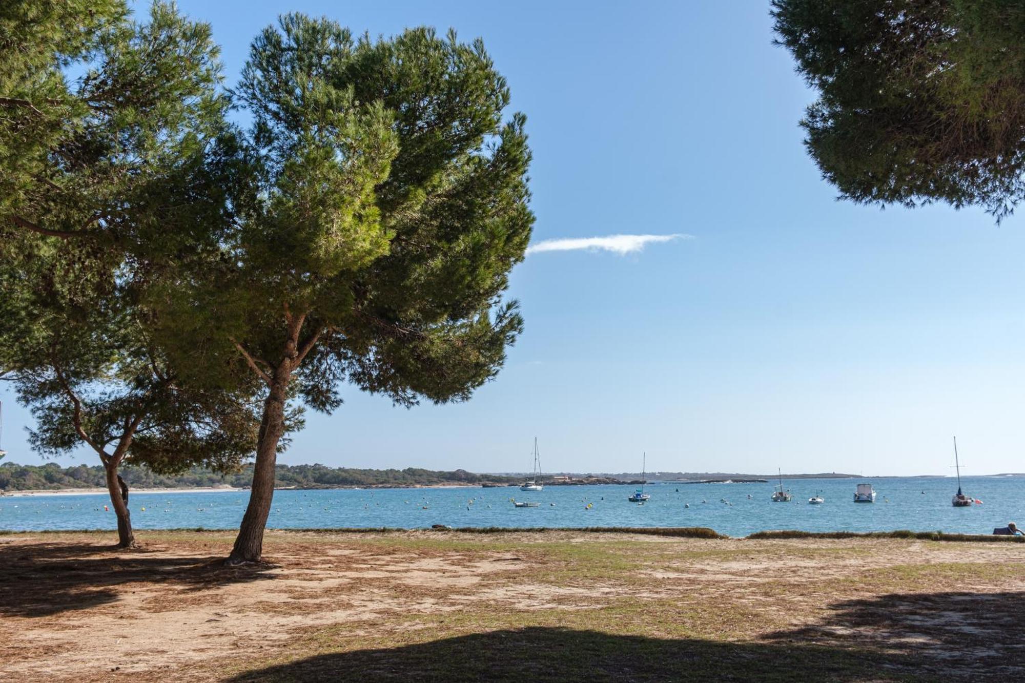 קולוניה סנט ג'ורדי Alma Libre Beach Apartment מראה חיצוני תמונה