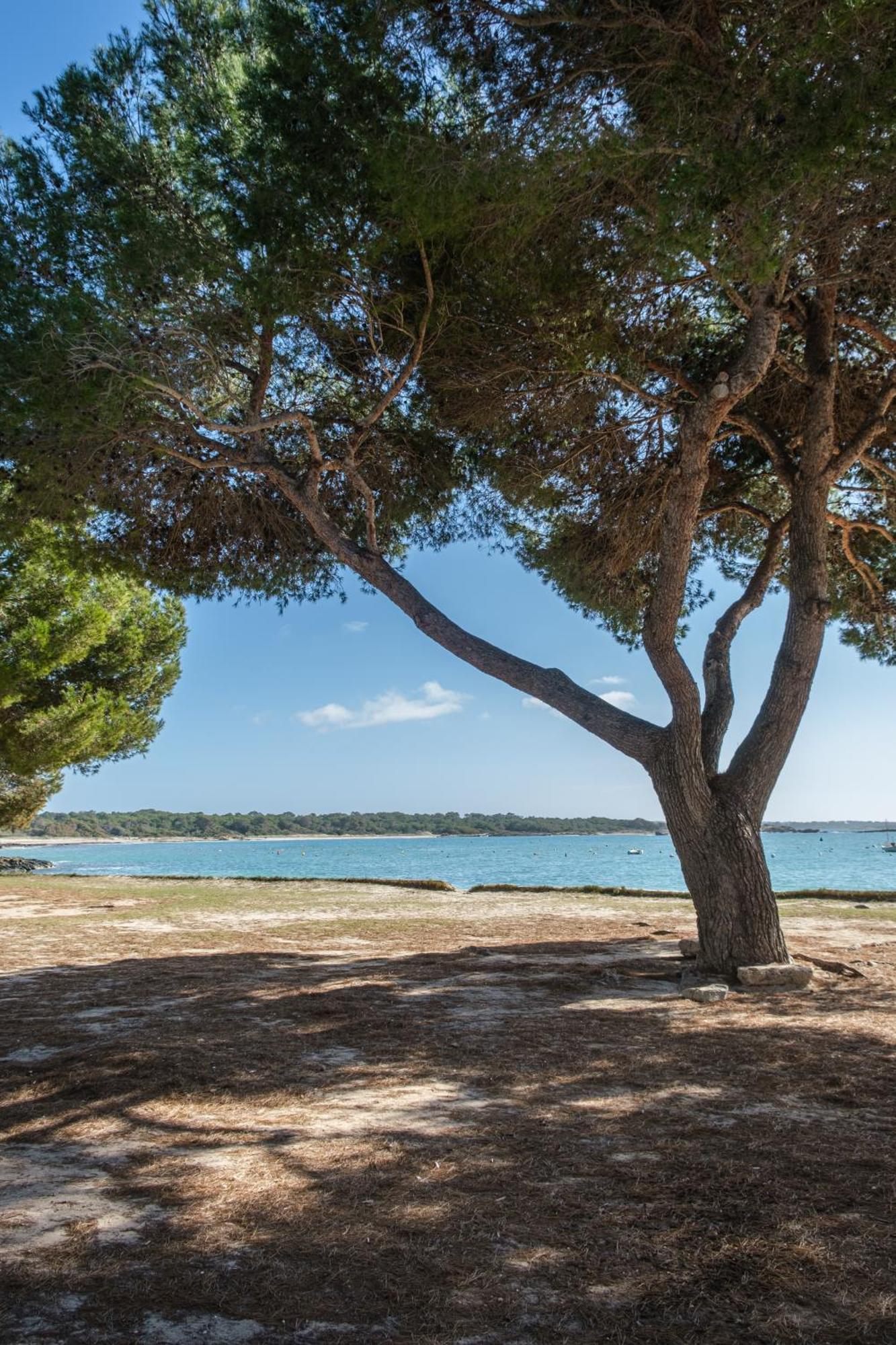 קולוניה סנט ג'ורדי Alma Libre Beach Apartment מראה חיצוני תמונה